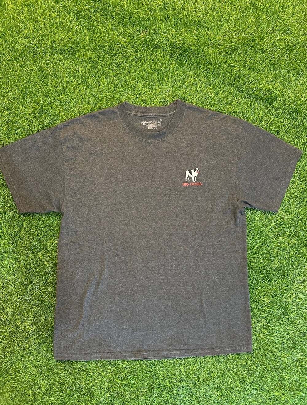 Big Dogs T-Shirt Size L Gray If I Agreed With You We'd Both Be Wrong